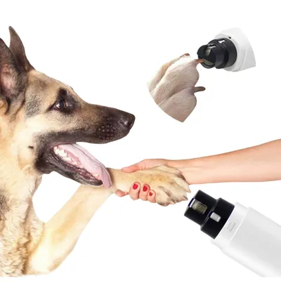 FurryFusion Lime à ongles électrique pour animaux de compagnie