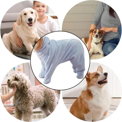 FurryFusion - Peignoir Absorbant pour Chiens