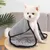 FurryFusion Serviette de Bain pour Chien