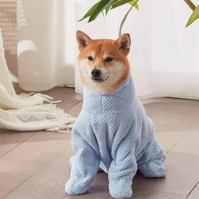FurryFusion Bata de baño absorbente para perros