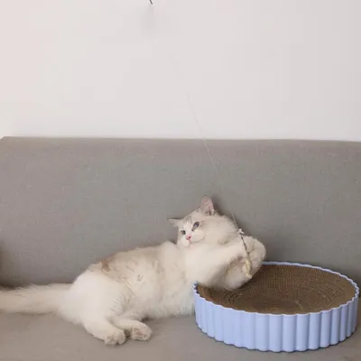 FurryFusion Bâton drôle pour chat 1,8 m