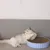 FurryFusion Bâton drôle pour chat 1,8 m