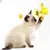 FurryFusion Jouet oiseau à ressort pour chat