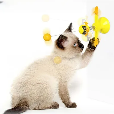 FurryFusion Jouet oiseau à ressort pour chat