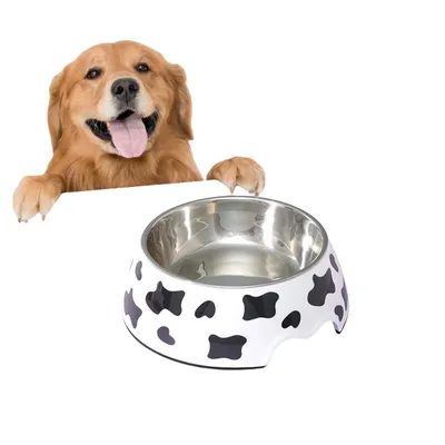 FurryFusion Gamelle pour chien en acier inoxydable