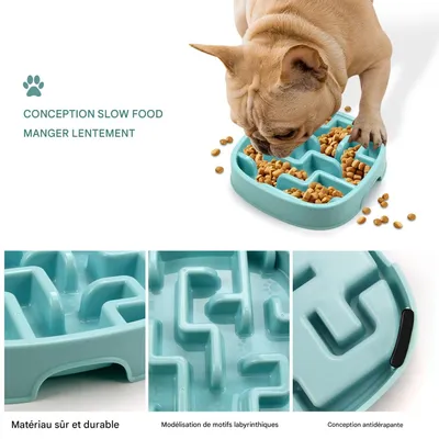 FurryFusion Gamelle anti-glouton pour chien et chat
