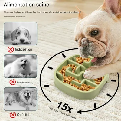 FurryFusion Gamelle anti-glouton pour chien et chat