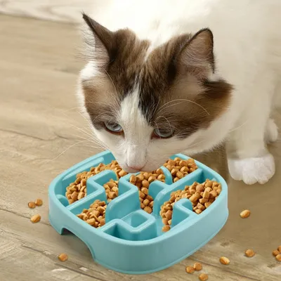 FurryFusion Gamelle anti-glouton pour chien et chat