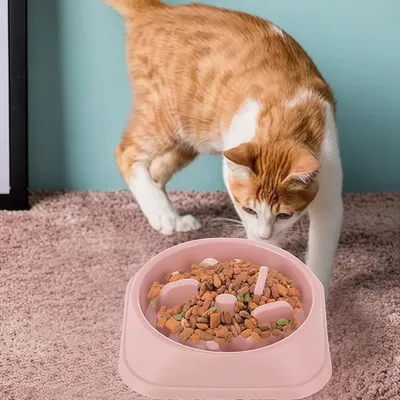 FurryFusion Comedero de alimentación lenta para gatos y perros
