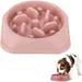 FurryFusion Gamelle Anti - Glouton pour Chat et Chien