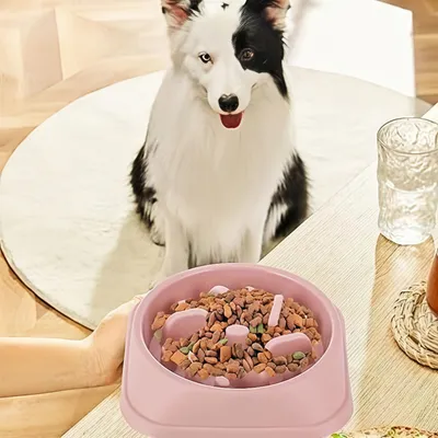 FurryFusion Comedero de alimentación lenta para gatos y perros