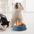 FurryFusion Gamelle en plastique pour chien et chat