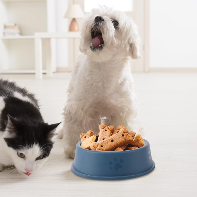 FurryFusion Gamelle en plastique pour chien et chat