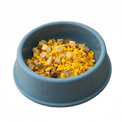 FurryFusion Gamelle en plastique pour chien et chat