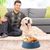 FurryFusion Gamelle en plastique pour chien et chat
