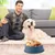 FurryFusion Gamelle en plastique pour chien et chat