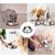 FurryFusion Gamelle en acier inoxydable pour chien
