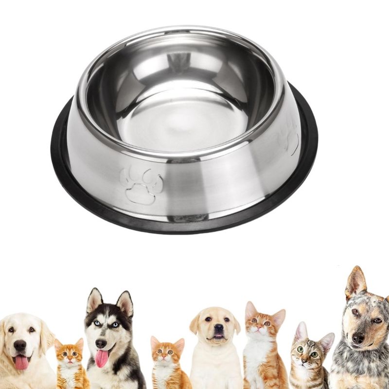 FurryFusion Gamelle en acier inoxydable pour chien