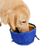 FurryFusion Bol pliable pour chien de plein air