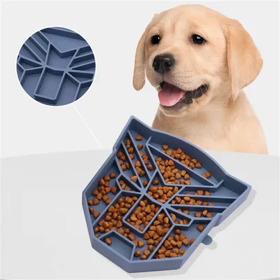 FurryFusion Gamelle anti-glouton pour chien et chat