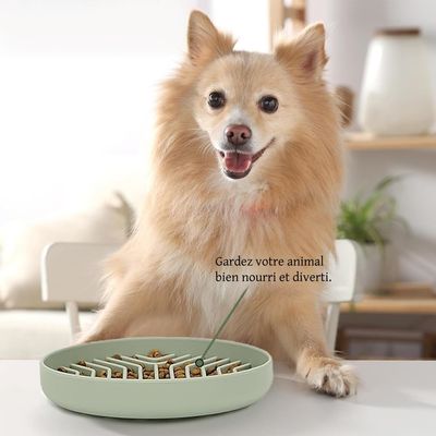 FurryFusion Gamelle anti - glouton pour chat et chien