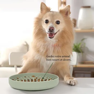 FurryFusion Comedero de alimentación lenta para gatos y perros