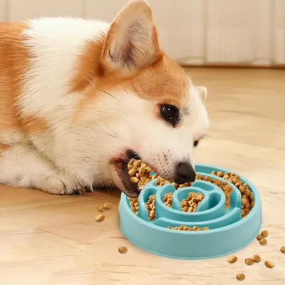 FurryFusion Gamelle à alimentation lente pour chien