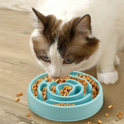FurryFusion Gamelle à alimentation lente pour chien