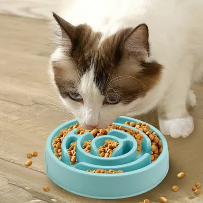 FurryFusion Comedero para perros de alimentación lenta