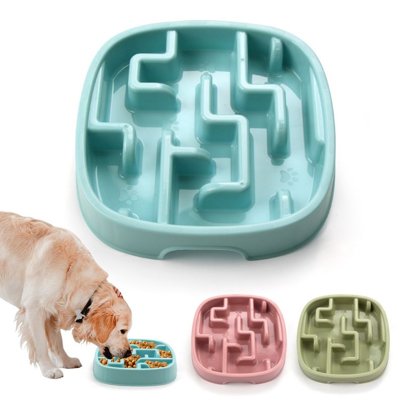 FurryFusion Gamelle anti - glouton pour chien et chat