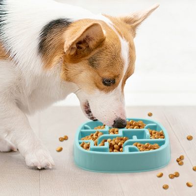 FurryFusion Comedero de alimentación lenta para perros y gatos