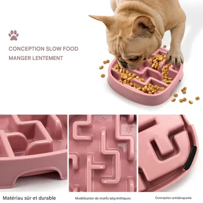 FurryFusion Gamelle anti - glouton pour chien et chat