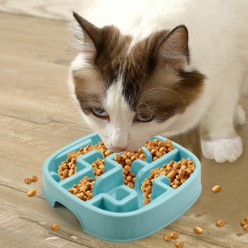 FurryFusion Gamelle anti - glouton pour chien et chat