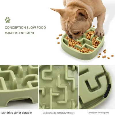 FurryFusion Gamelle anti - glouton pour chien et chat