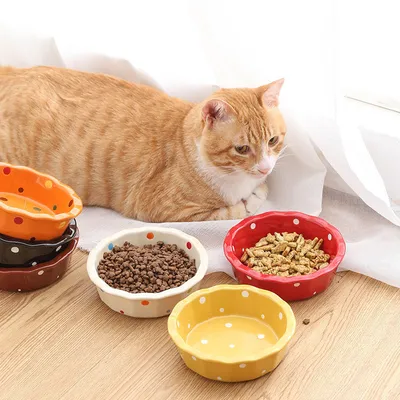 FurryFusion Plato de comida para perros