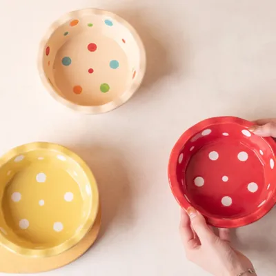 FurryFusion Bol de Nourriture pour Chiens