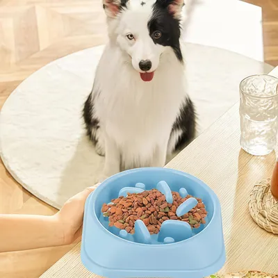 FurryFusion Gamelle Anti - Glouton pour Chat et Chien