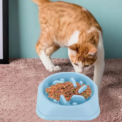 FurryFusion Comedero de alimentación lenta para gatos y perros