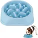 FurryFusion Gamelle Anti - Glouton pour Chat et Chien