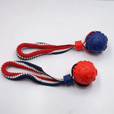 FurryFusion – Knochenball mit elastischer Schnur für Hunde FurryFusion – Knochenball mit elastischer Schnur für Hunde