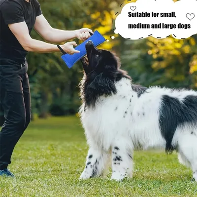 FurryFusion – Nylon-Zerrspielzeug für Hunde FurryFusion – Nylon-Zerrspielzeug für Hunde