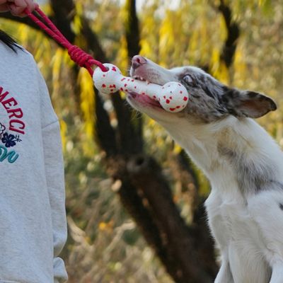 FurryFusion Jouet de lancement pour chien, dumbbell avec corde