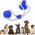 FurryFusion Hundespielzeug mit Leine – Mit Saugnapf