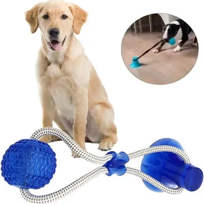 FurryFusion Hundespielzeug mit Leine – Mit Saugnapf