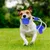 FurryFusion Hundespielzeug mit Leine – Mit Saugnapf