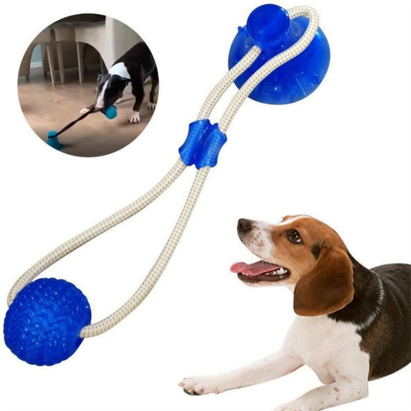 FurryFusion Hundespielzeug mit Leine – Mit Saugnapf