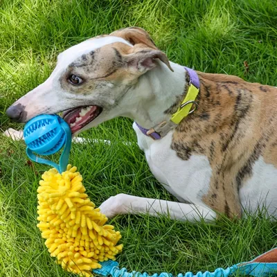 FurryFusion Jouet pour chien Tug of War en corde