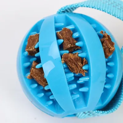 FurryFusion Jouet pour chien Tug of War en corde