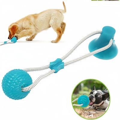 FurryFusion Jouet en laisse pour chien - Avec ventouse