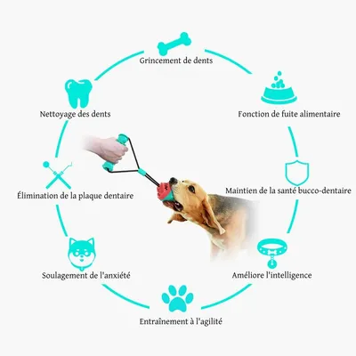 FurryFusion Interaktives Hundespielzeug FurryFusion Interaktives Hundespielzeug